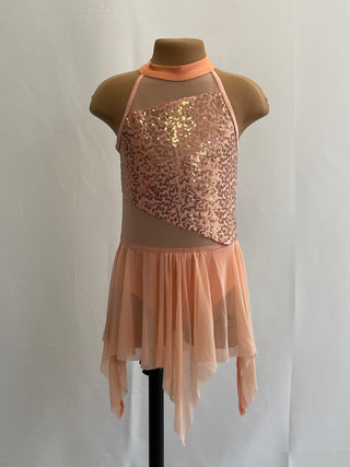 Peach Lyrical Dress - New