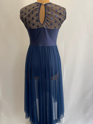 Blue Lyrical Dress