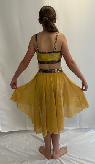 Gold Animal Print Two Piece