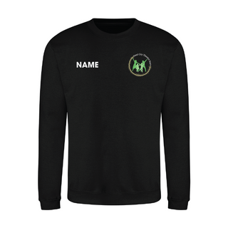 Steel City Sweatshirt