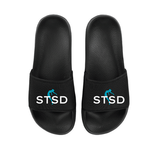 Sandra Taylor School of Dance Sliders