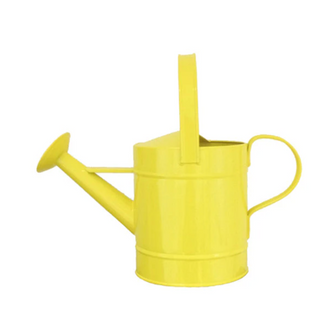 RAD WATERING CAN - GRADE 1