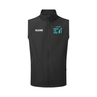 Vision Art Wales Path2Pro Adult Gilet